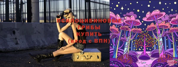 меф Алексин